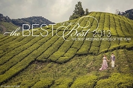 Best of Wedding 2013