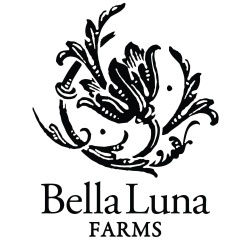Vendor logo