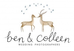 Vendor logo