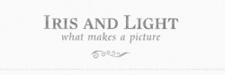 Vendor logo