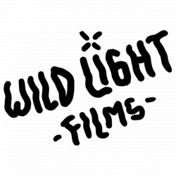 Vendor logo