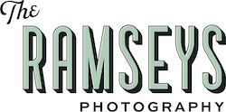 Vendor logo