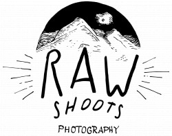 Vendor logo