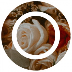 Vendor logo