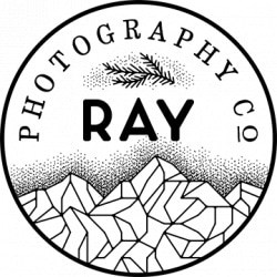 Vendor logo