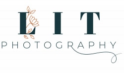 Vendor logo