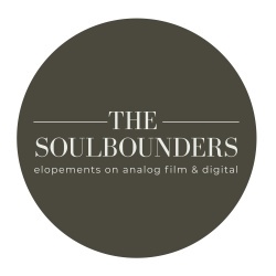 Vendor logo