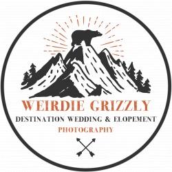 Vendor logo