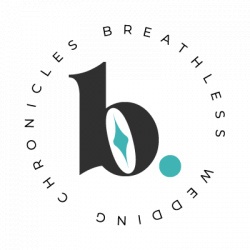 Vendor logo