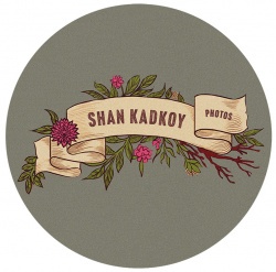 Vendor logo