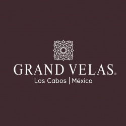 Vendor logo