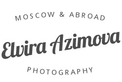 Vendor logo