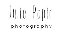 Vendor logo