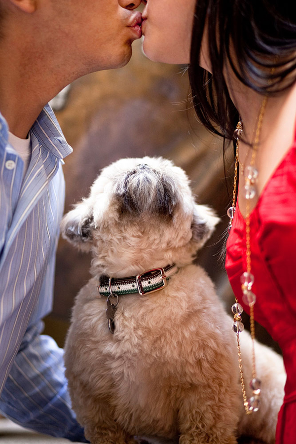 engagement photo with animal by Jules Bianchi of Jules Bianchi Photography | junebugweddings.com engagement photo with animal by Jules Bianchi of Jules Bianchi Photography | junebugweddings.com