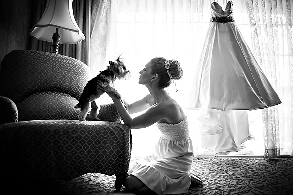 photo of bride with dog at wedding by Susan Stripling | junebugweddings.com photo of bride with dog at wedding by Susan Stripling | junebugweddings.com
