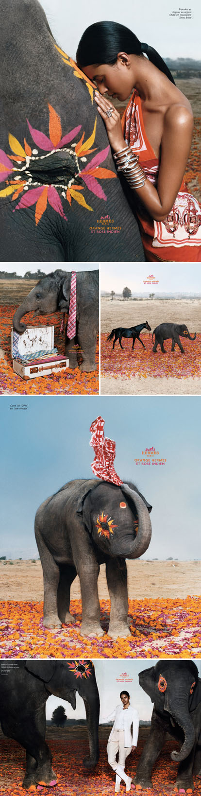 Hermes Orange, India Pink ad campaign Hermes Orange, India Pink ad campaign