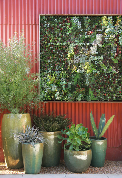 Vertical succulent gardens for weddings and home decor from Flora Grubb Gardens in San Francisco Vertical succulent gardens for weddings and home decor from Flora Grubb Gardens in San Francisco