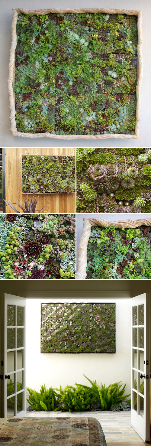 Vertical succulent gardens for weddings and home decor from Flora Grubb Gardens in San Francisco Vertical succulent gardens for weddings and home decor from Flora Grubb Gardens in San Francisco