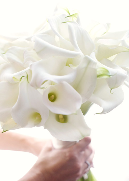 white wedding floral bouquets, centerpieces and decor by Flora Nova Floral and Event Design, image by One Thousand Words Photography white wedding floral bouquets, centerpieces and decor by Flora Nova Floral and Event Design, image by One Thousand Words Photography