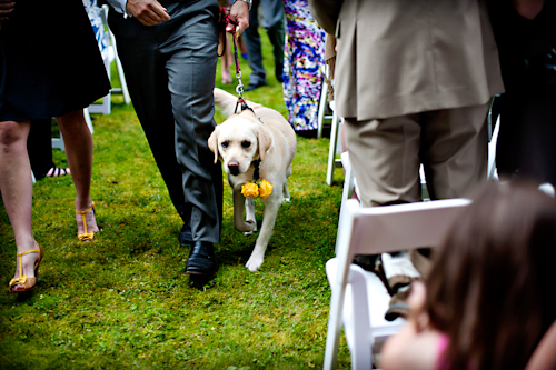 Rustic, outdoor wedding in Whistler, British Columbia - Photos by Anastasia Photography | junebugweddings.com Rustic, outdoor wedding in Whistler, British Columbia - Photos by Anastasia Photography | junebugweddings.com