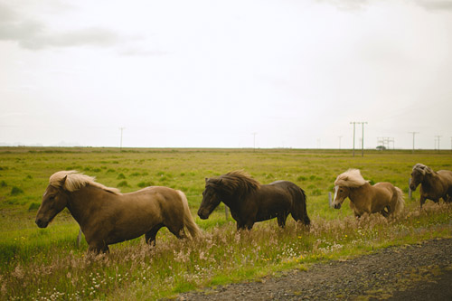 Iceland engagement photos of Caroline and Ben by Nordica Photography | via junebugweddings.com Iceland engagement photos of Caroline and Ben by Nordica Photography | via junebugweddings.com