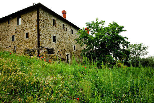 Italian villa wedding in Tuscany | junebugweddings.com Italian villa wedding in Tuscany | junebugweddings.com