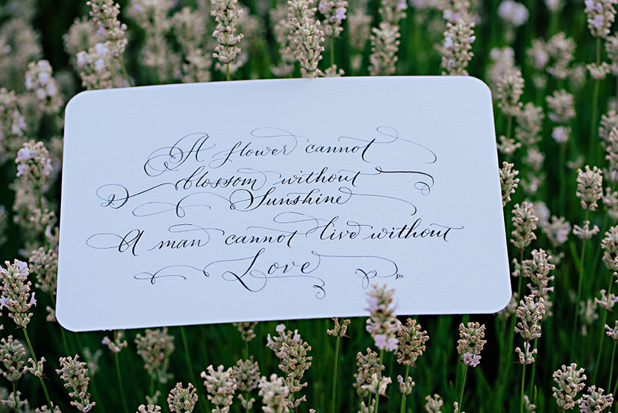 lavender farm wedding inspiration photo shoot with photos by Jennifer Ballard Photography | via junebugweddings.com lavender farm wedding inspiration photo shoot with photos by Jennifer Ballard Photography | via junebugweddings.com