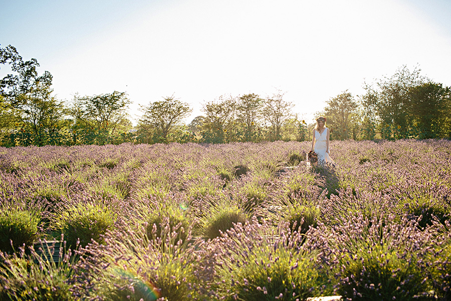 lavender farm wedding inspiration photo shoot with photos by Jennifer Ballard Photography | via junebugweddings.com lavender farm wedding inspiration photo shoot with photos by Jennifer Ballard Photography | via junebugweddings.com