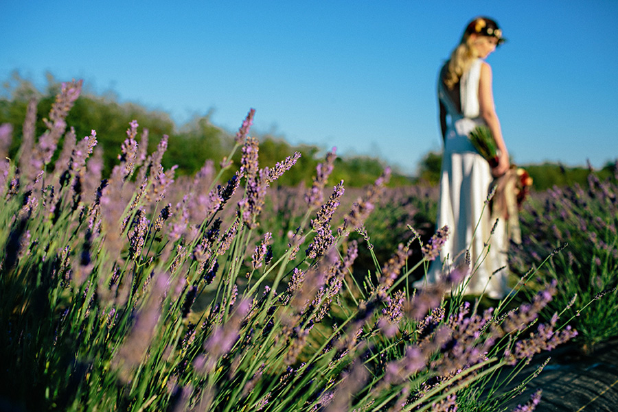 lavender farm wedding inspiration photo shoot with photos by Jennifer Ballard Photography | via junebugweddings.com lavender farm wedding inspiration photo shoot with photos by Jennifer Ballard Photography | via junebugweddings.com