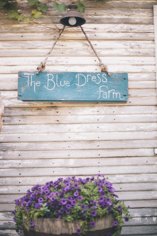 vintage inspired wedding at Blue Dress Barn in Michigan, with photos by Heather Jowett Photography | junebugweddings.com vintage inspired wedding at Blue Dress Barn in Michigan, with photos by Heather Jowett Photography | junebugweddings.com