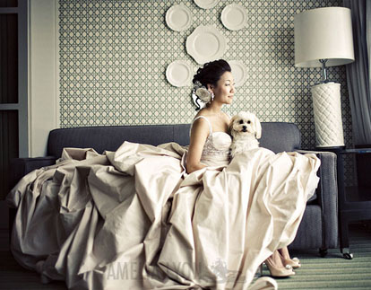 A bride and her best puppy friend, image by Amelia Lyon Photography A bride and her best puppy friend, image by Amelia Lyon Photography