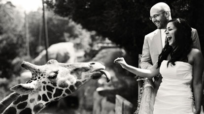 wedding couple with their giraffe, image by Amy and Stuart Photography wedding couple with their giraffe, image by Amy and Stuart Photography