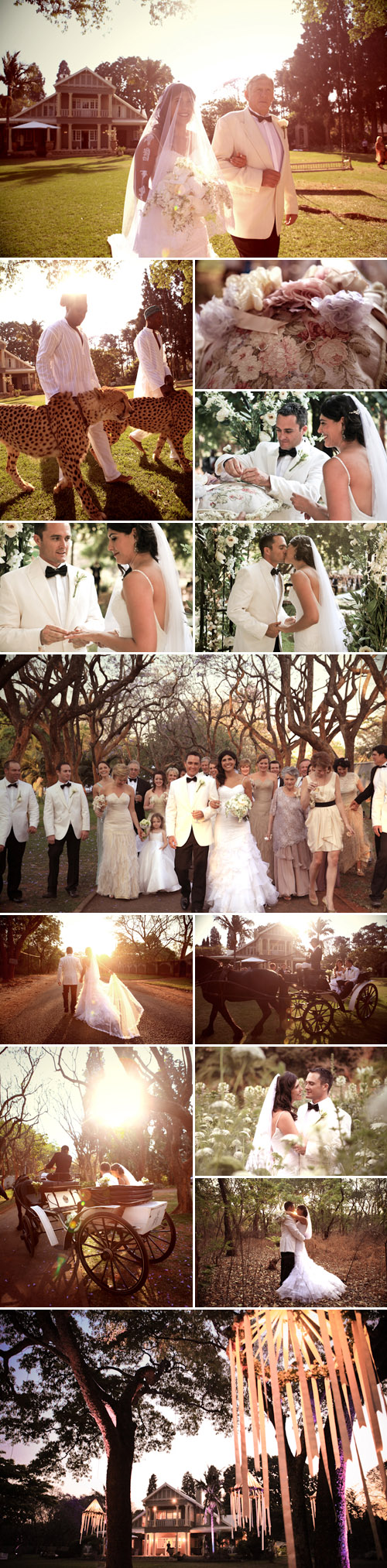 Swan Lake and Out of Africa inspired wedding in Harare, Zimbabwe, ivory, cream, sepia and brown wedding colors and decor, wedding photos by Shanna Jones Photography Swan Lake and Out of Africa inspired wedding in Harare, Zimbabwe, ivory, cream, sepia and brown wedding colors and decor, wedding photos by Shanna Jones Photography