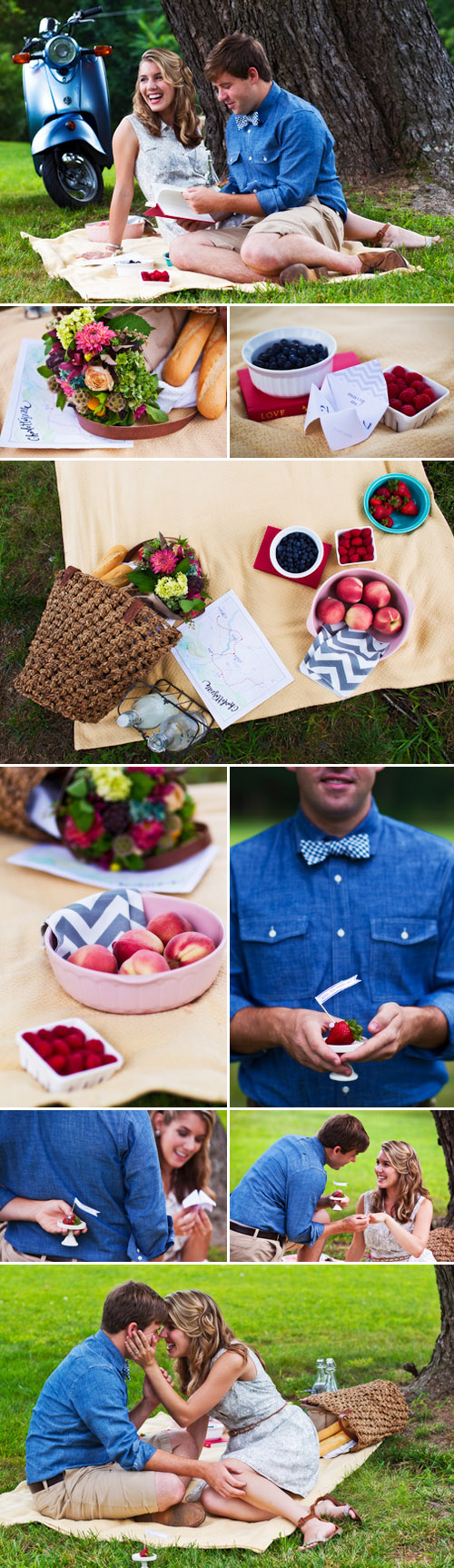 blue and white chevron print wedding decor, picnic engagement inspiration shoot in Charlottesville, Virginia, photos by Holland Photo Arts blue and white chevron print wedding decor, picnic engagement inspiration shoot in Charlottesville, Virginia, photos by Holland Photo Arts