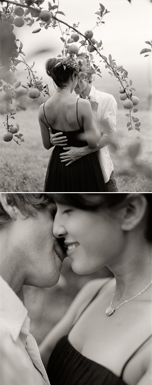 playful couple photos at Carter's Mountain Apple Orchard in Charlottesville, Va playful couple photos at Carter's Mountain Apple Orchard in Charlottesville, Va