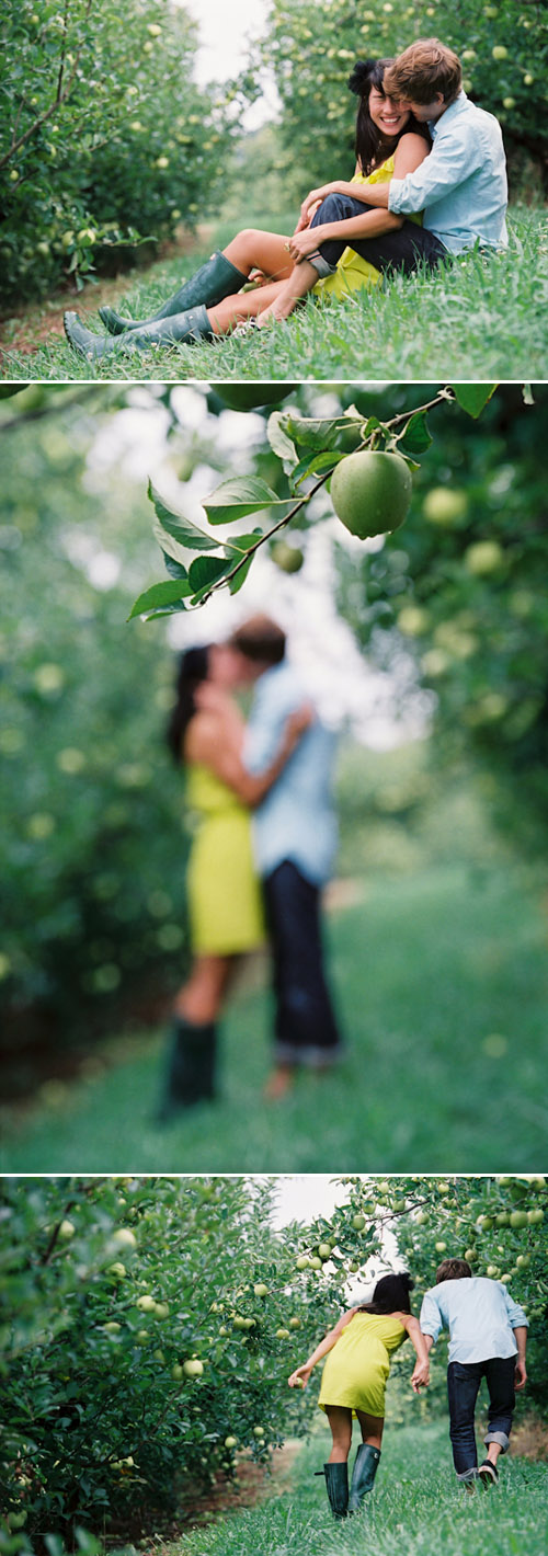 playful couple photos at Carter's Mountain Apple Orchard in Charlottesville, Va playful couple photos at Carter's Mountain Apple Orchard in Charlottesville, Va