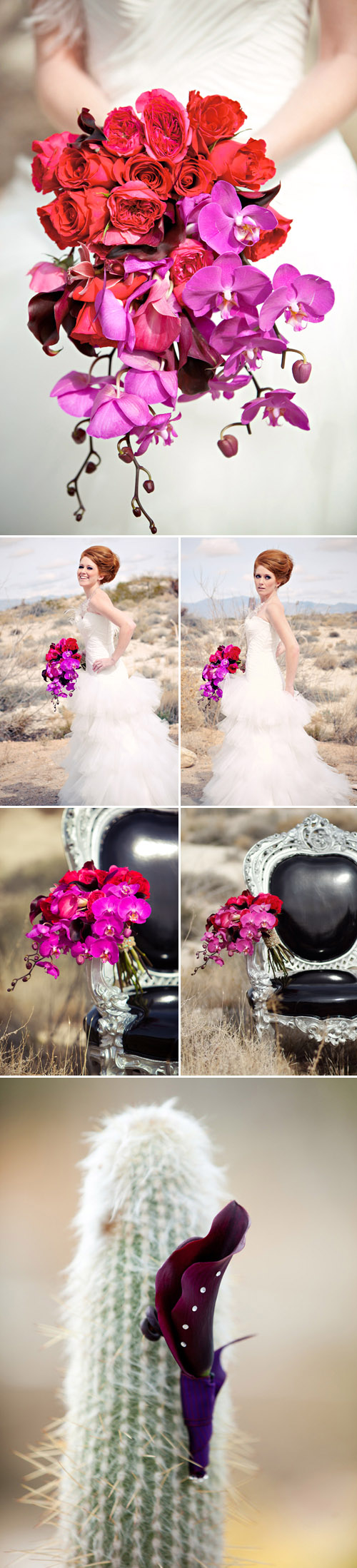 modern Phaleanopsis orchid and eggplant calla lily bridal bouquet by Bella Signature Design, photos by Lemon Fresh Designs, Holly Clarke Photography, tPoz Photography, Kimberly Chan Photography and Poly Mendes Photography modern Phaleanopsis orchid and eggplant calla lily bridal bouquet by Bella Signature Design, photos by Lemon Fresh Designs, Holly Clarke Photography, tPoz Photography, Kimberly Chan Photography and Poly Mendes Photography