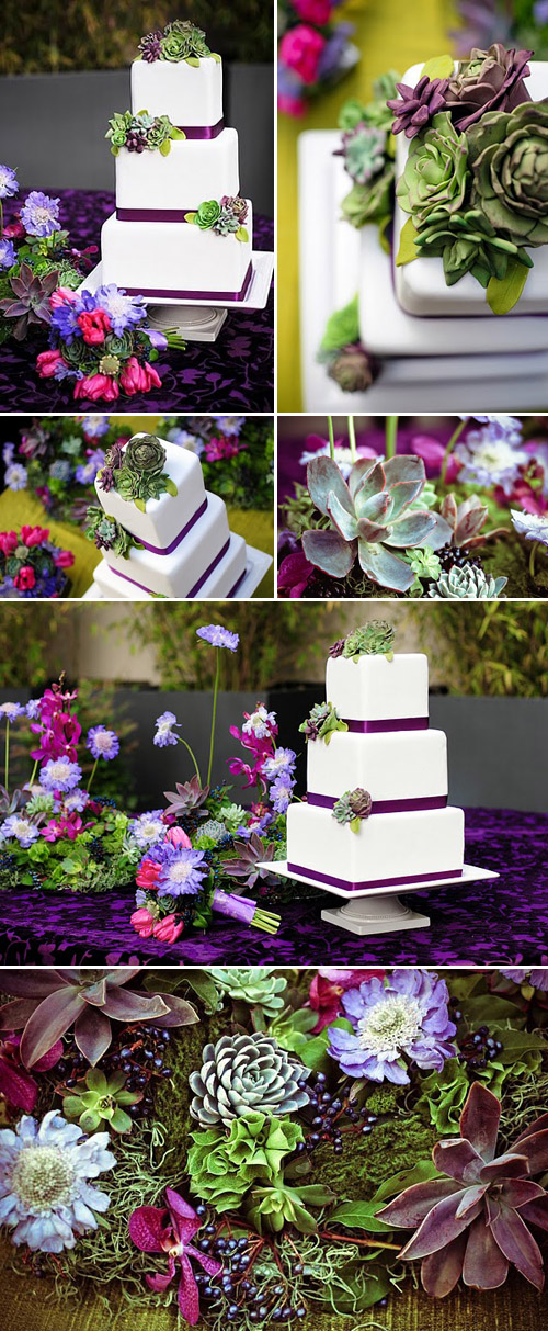 succulent wedding cake design by Erica O'Brien, amazing southern california wedding cakes, images by Charla Blue Photography succulent wedding cake design by Erica O'Brien, amazing southern california wedding cakes, images by Charla Blue Photography