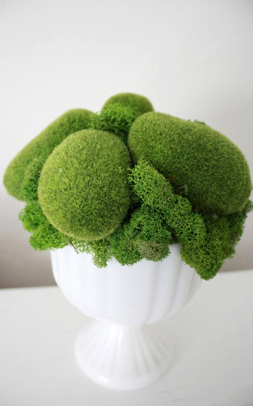 unique floral arrangements using preserved flowers, moss and seed pods, image and arrangement from Flores del Sol unique floral arrangements using preserved flowers, moss and seed pods, image and arrangement from Flores del Sol