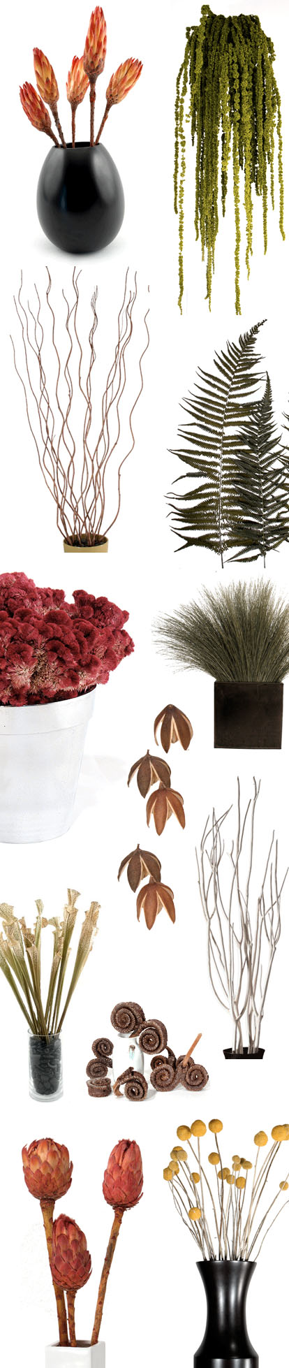 Nettleton Hollow dried flowers, seed pods, grasses and branches for home or wedding decor Nettleton Hollow dried flowers, seed pods, grasses and branches for home or wedding decor