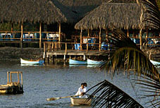 Courtesy of hotelito Courtesy of hotelito