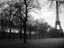 One Thousand Words Photography One Thousand Words Photography
