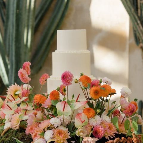 Cake Bakeries